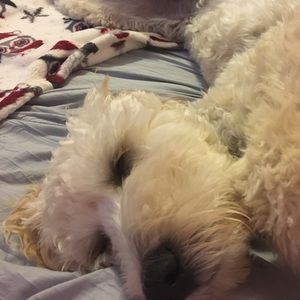 Meet your Posher, Nora